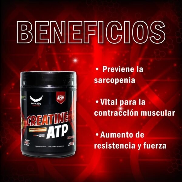 Creatina Creatp 500 gr neutro 200 mesh - Imagen 3