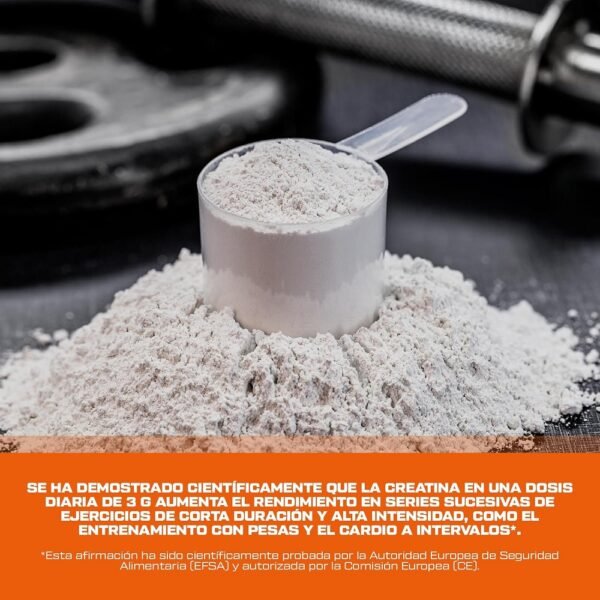 100% Creatine Monohydrate 300 gr - Imagen 2