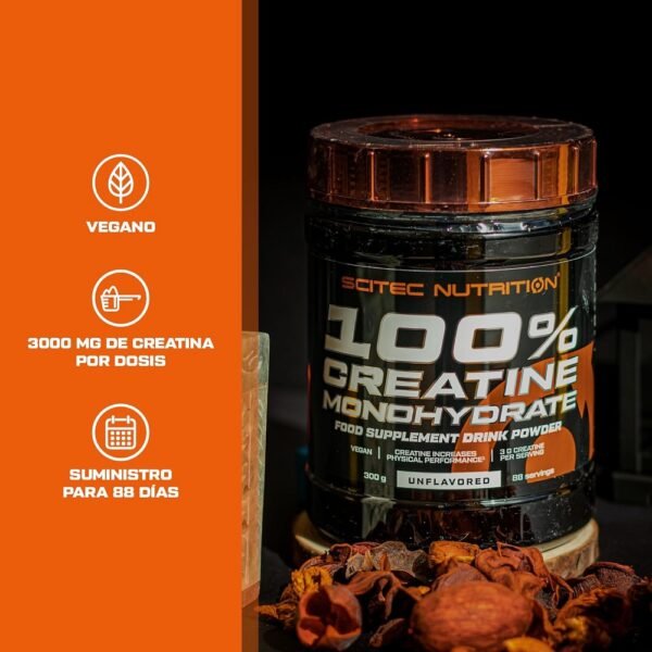 100% Creatine Monohydrate 300 gr - Imagen 3