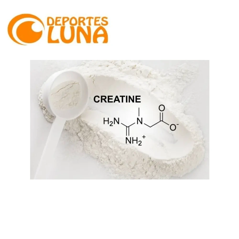 Creatina Monohidrato 1 creatina monohidrato